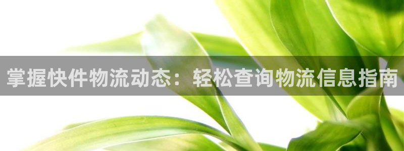 28圈反水：掌握快件物流动态：轻松查