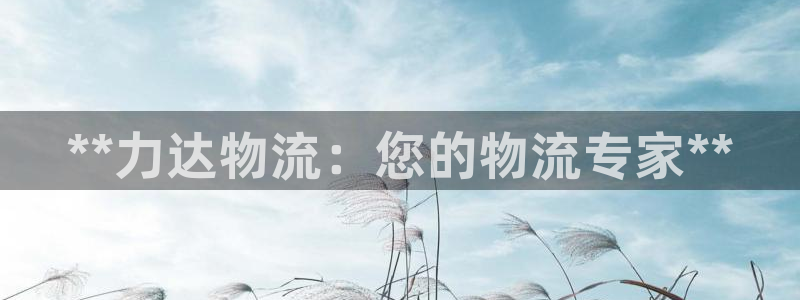 28圈如何看计划：**力达物流：您的