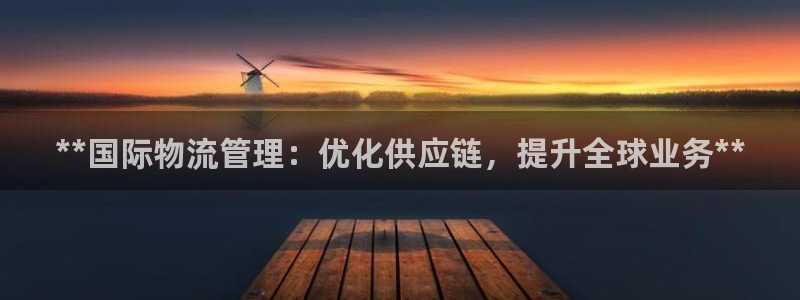 28圈v6能卖多少：**国际物流管理