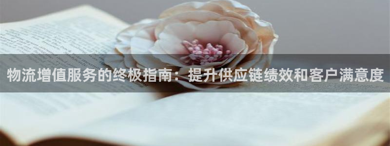 28圈预测加拿大师准：物流增值服务的