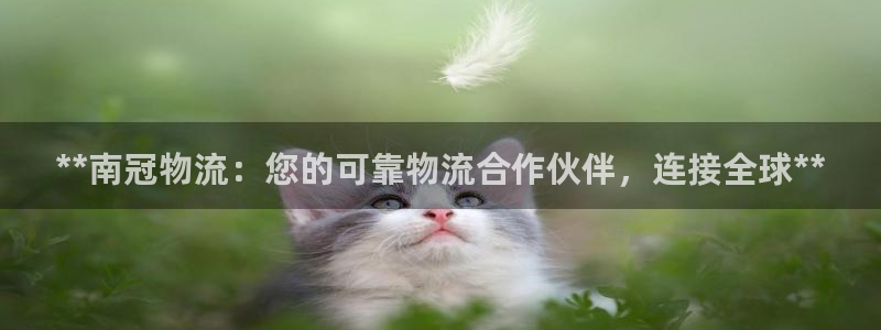 28圈模拟器在线玩：**南冠物流：您