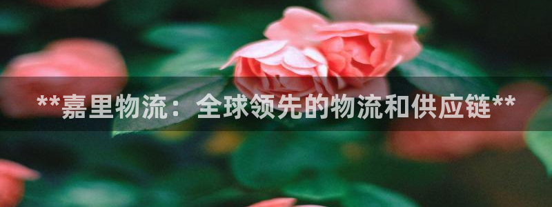 28圈注册：**嘉里物流：全球领先的