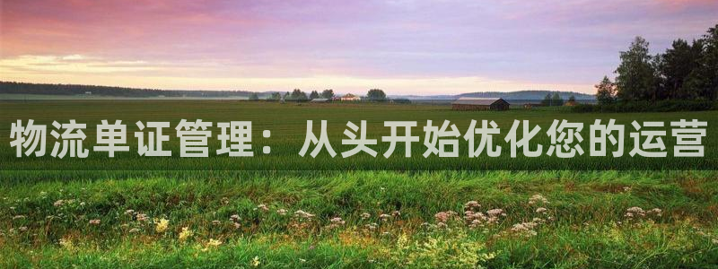 28圈比特28真实吗：物流单证管理：