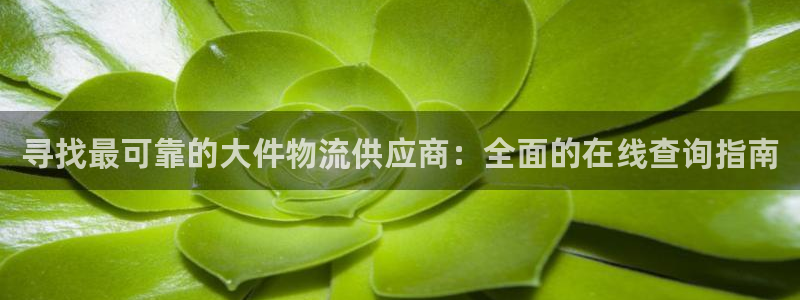 28圈官方网站预测：寻找最可靠的大件