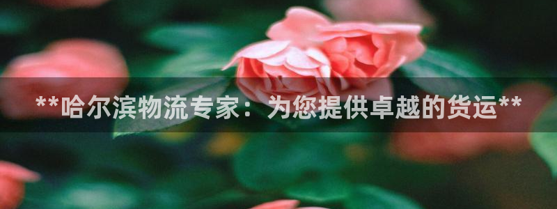28圈账号注册：**哈尔滨物流专家：