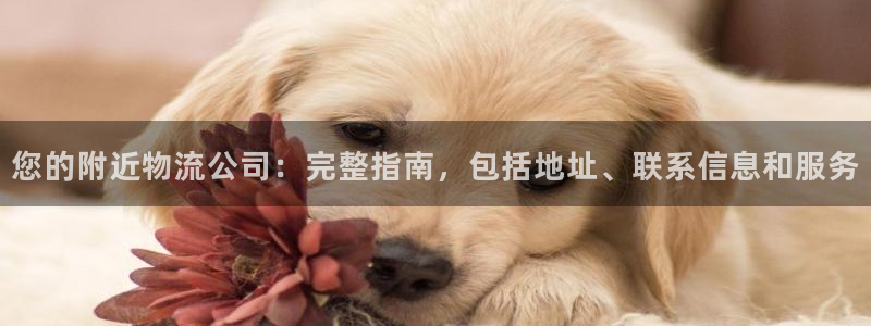 28圈免费：您的附近物流公司：完整指
