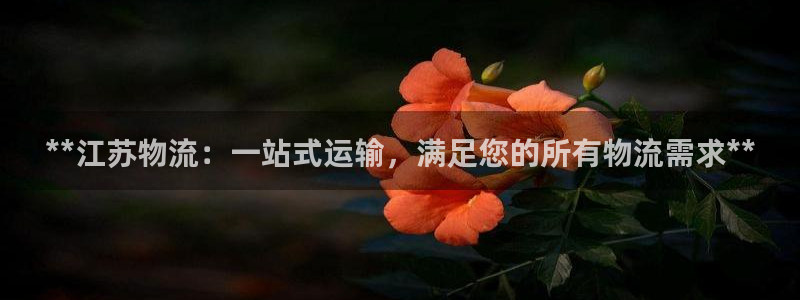 28圈下载体育