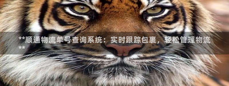 28圈注册教程：**顺通物流单号查询