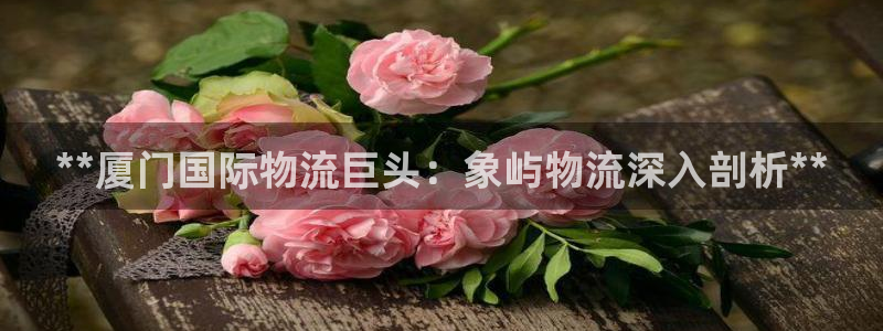 28圈系统自动保护
