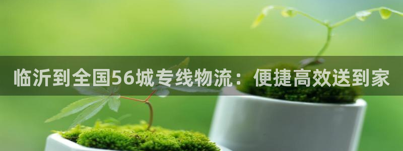 28圈网赌案件：临沂到全国56城专线