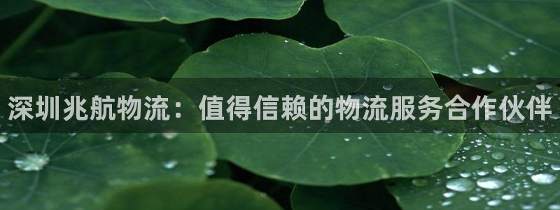 28圈官方网站预测：深圳兆航物流：值