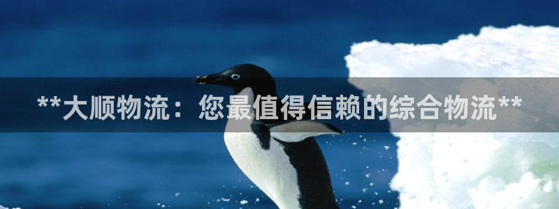 28圈ccm游戏：**大顺物流：您最