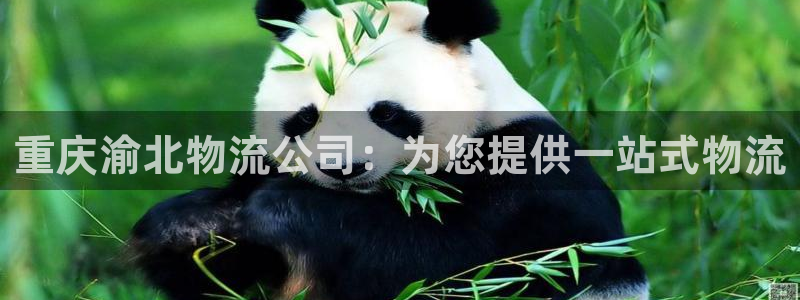 28圈比特28真实吗：重庆渝北物流公