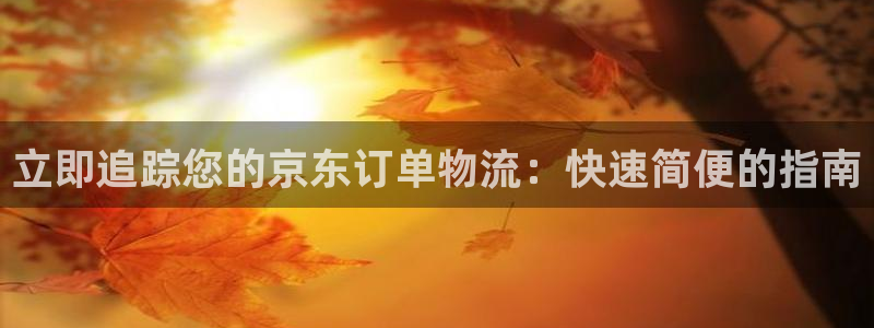 28圈登录不上咋回事：立即追踪您的京