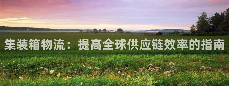 28圈.ccm官网：集装箱物流：提高