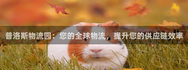 28圈ip被限制怎么解决：普洛斯物流