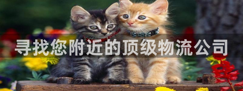 28圈.ccmpc29官网版