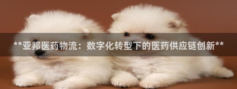 28圈软件堵什么反什么
