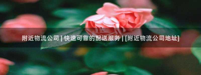 28圈辅助：附近物流公司 | 快速可