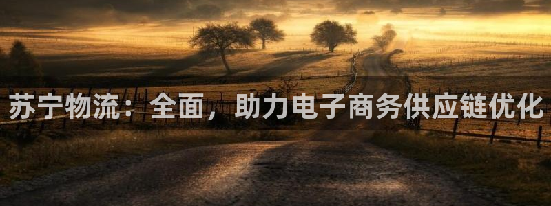 28圈软件：苏宁物流：全面，助力电子
