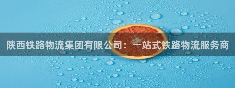 28圈登录用户名登录不上：陕西铁路物