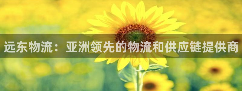 28圈注册网站链接怎么弄：远东物流：