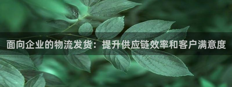 28圈软件堵什么反什么：面向企业的物