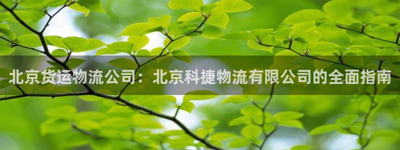 28圈注册入口与教程：北京货运物流公