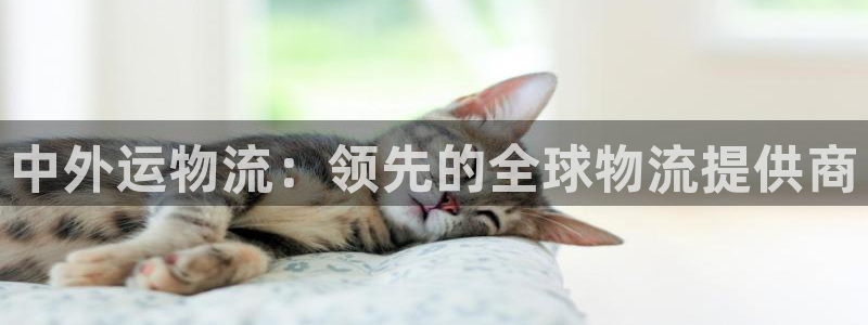 28圈玩法：中外运物流：领先的全球物