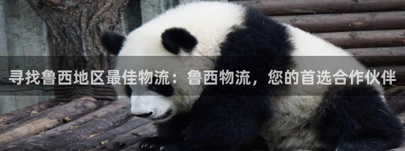 28圈官网平台下载