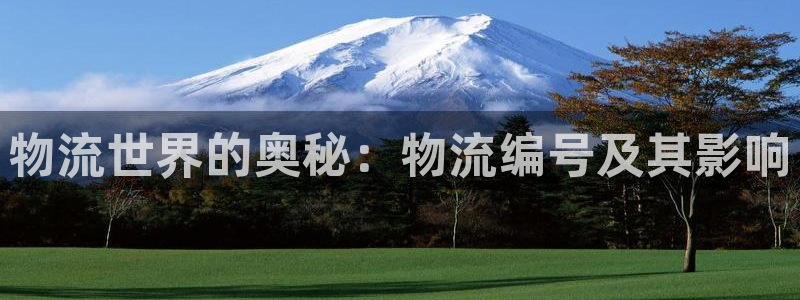 28圈预测：物流世界的奥秘：物流编号