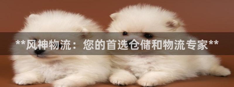 28圈游戏链接：**风神物流：您的首
