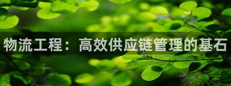 28圈下载体育：物流工程：高效供应链