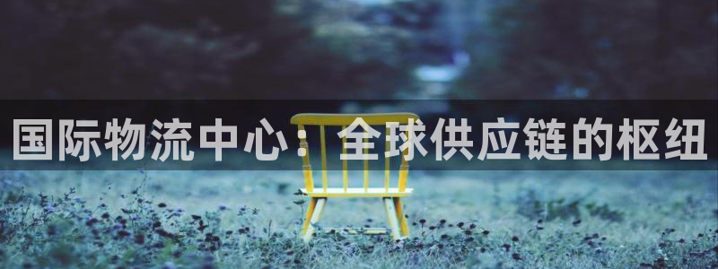 28圈正规吗：国际物流中心：全球供应