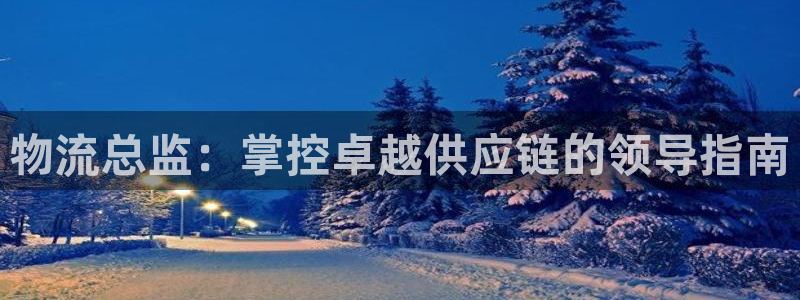 28圈注册入口与教程：物流总监：掌控