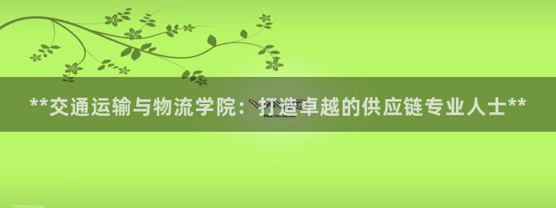28圈.ccm官网：**交通运输与物