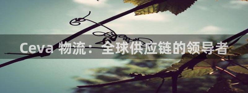 28圈是啥：Ceva 物流：全球供应