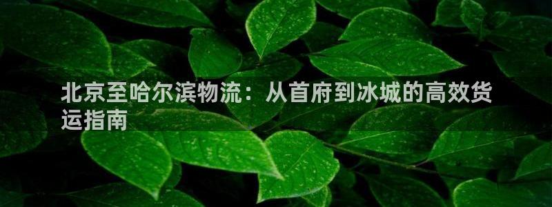 28圈是南宫旗下的吗：北京至哈尔滨物