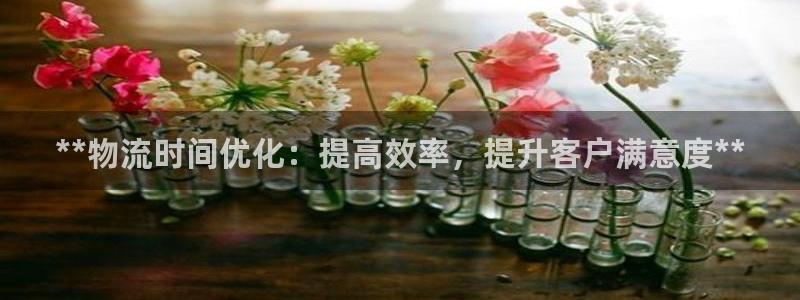 28圈模拟器下载：**物流时间优化：
