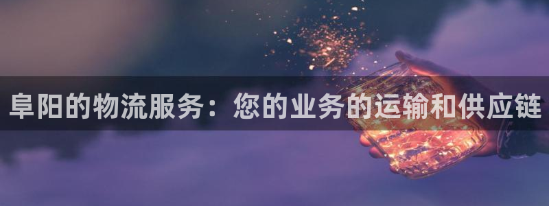 28圈充值不处理怎么办：阜阳的物流服