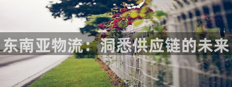 28圈大神预测：东南亚物流：洞悉供应