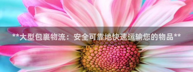 28圈怎么下载：**大型包裹物流：安