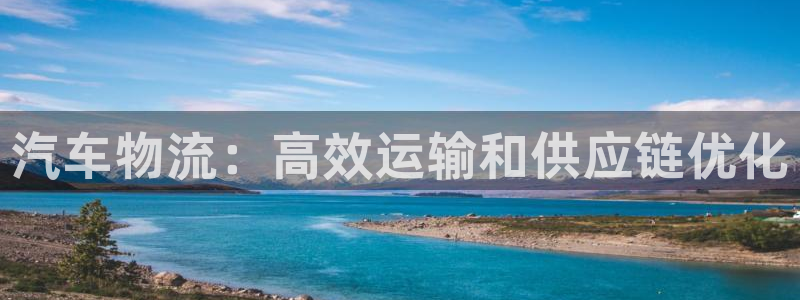 28圈官方网站是多少：汽车物流：高效