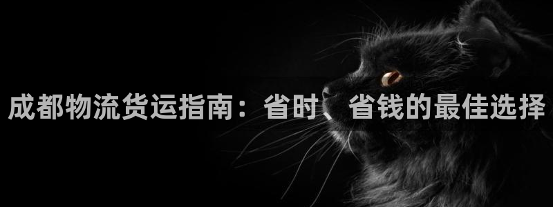 28圈流水怎么算：成都物流货运指南：