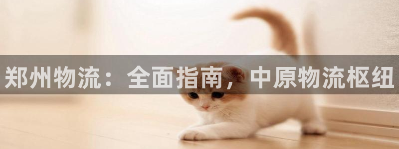 28圈为什么没有赢过一次：郑州物流：