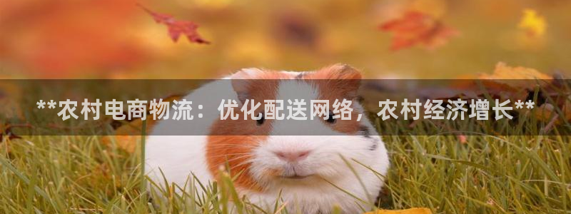 28圈能退款吗：**农村电商物流：优