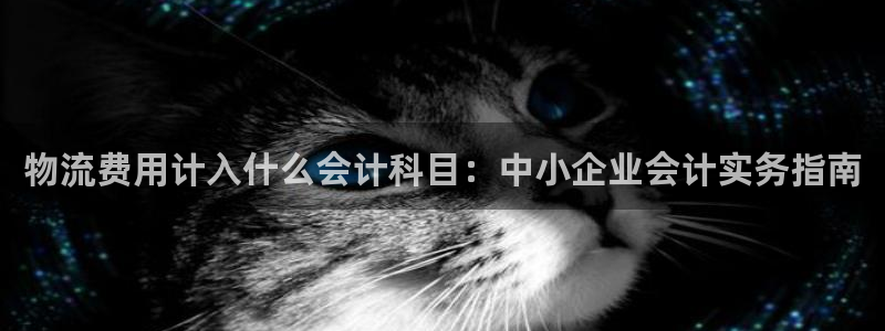28圈预测加拿大师准：物流费用计入什