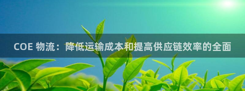 28圈加拿大在线预测：COE 物流：