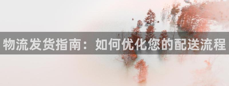 28圈官网平台下载：物流发货指南：如