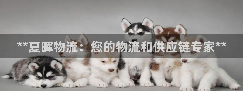 28圈口内径是多大：**夏晖物流：您